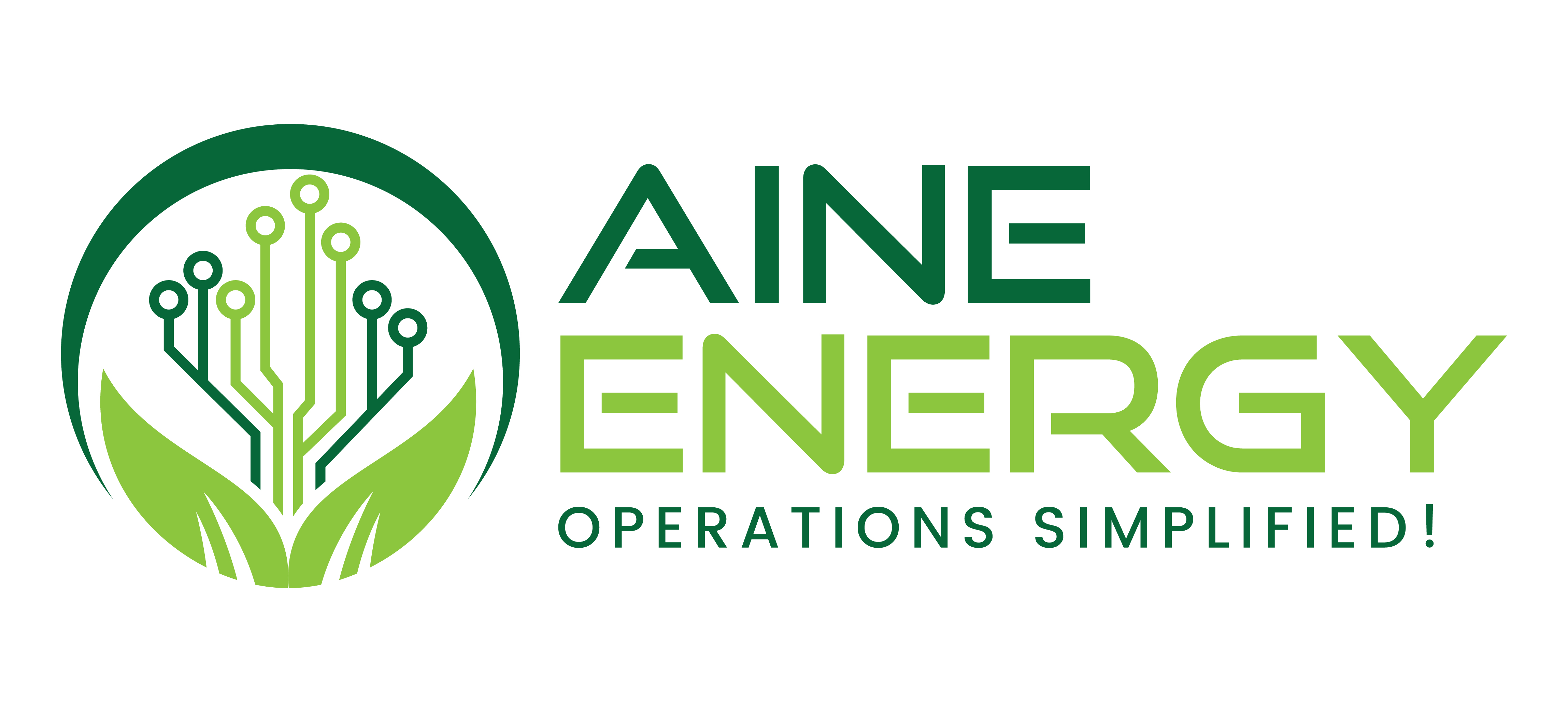 Aine Api Aine Energy - AI-Powered Project Management and Inspection Analysis
